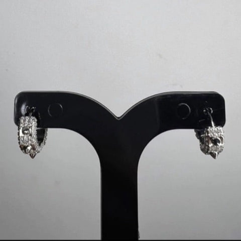 Brinco Argola Spike